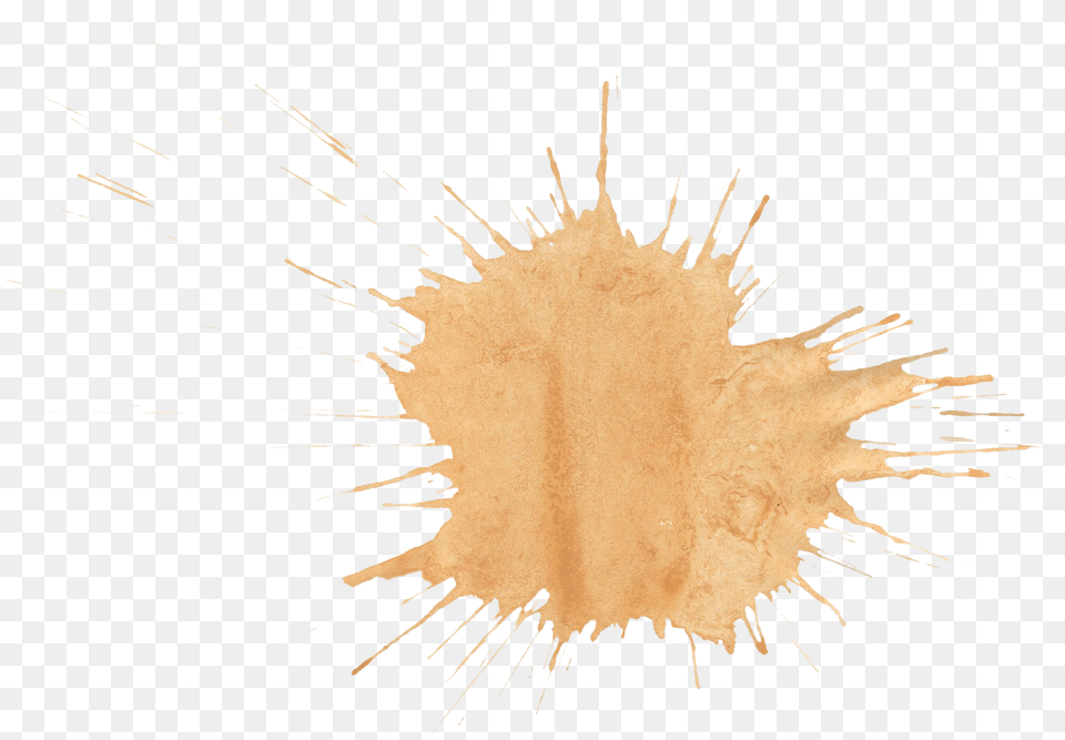 Brown Paint Splat Watercolor Brown, Stain, Face, Head, Person Free Transparent Png