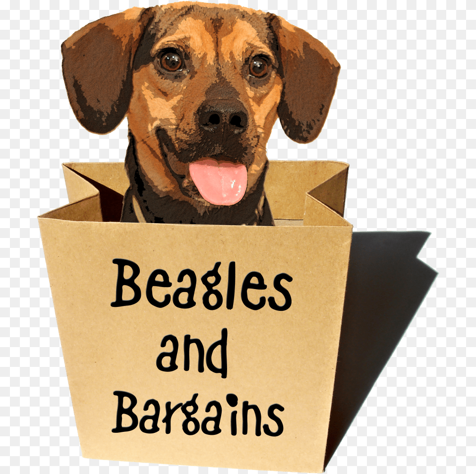 Brown Paper Bag, Box, Animal, Canine, Dog Png Image