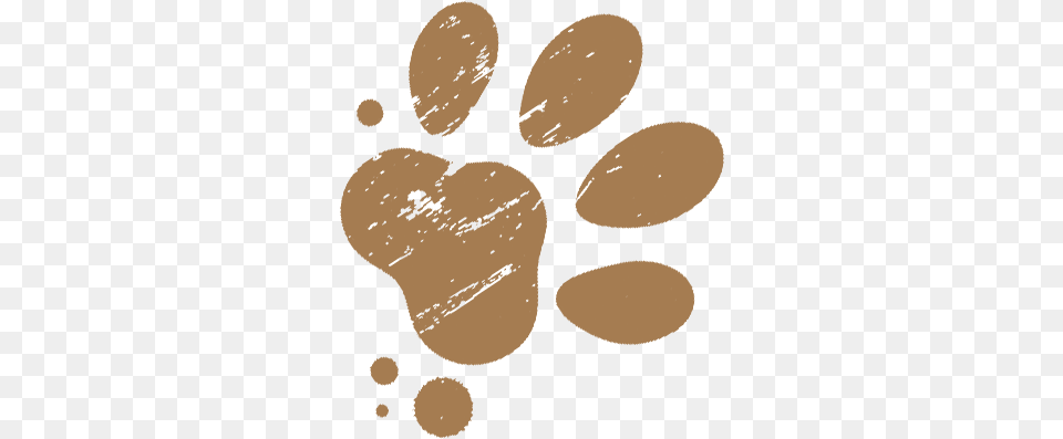 Brown Paw Print, Person, Footprint, Face, Head Free Transparent Png