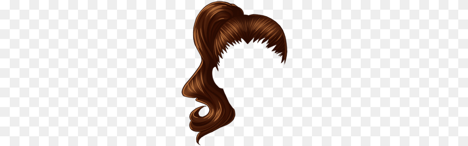 Brown Ponytail Bald Eagle, Hair, Person Png