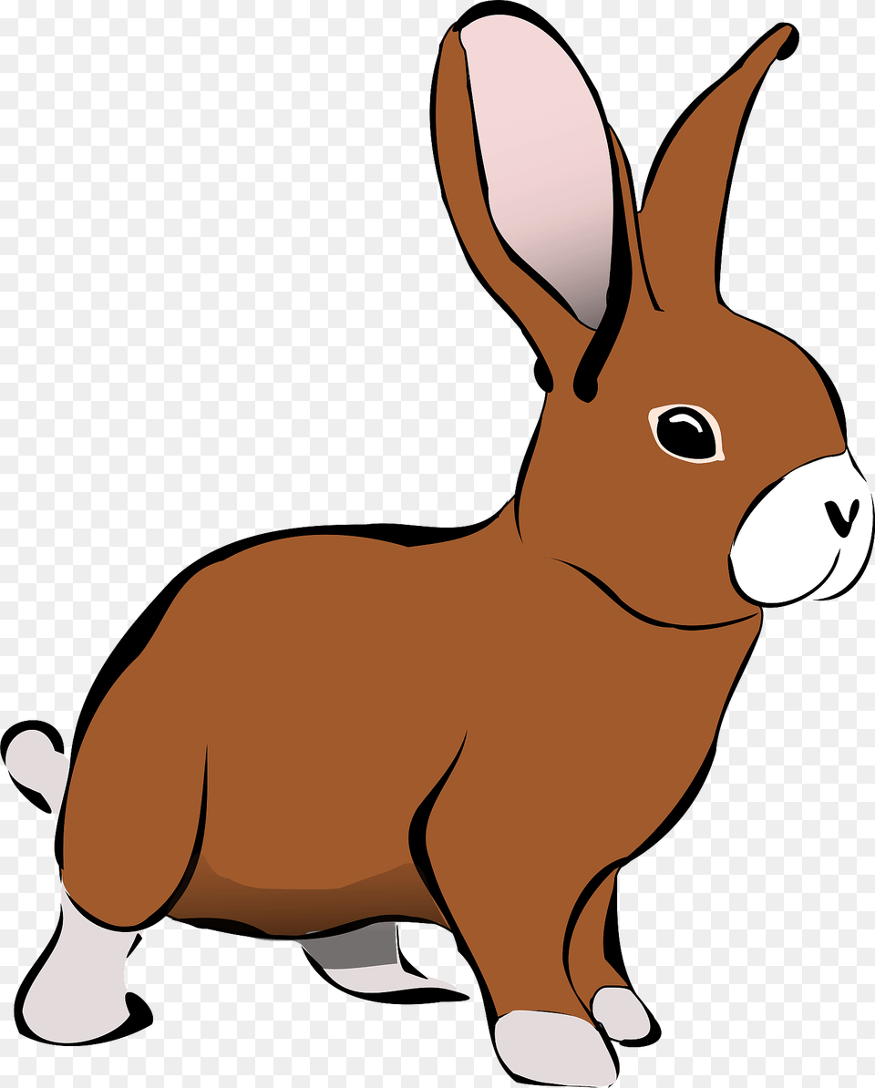 Brown Rabbit Clipart, Animal, Mammal, Baby, Person Png