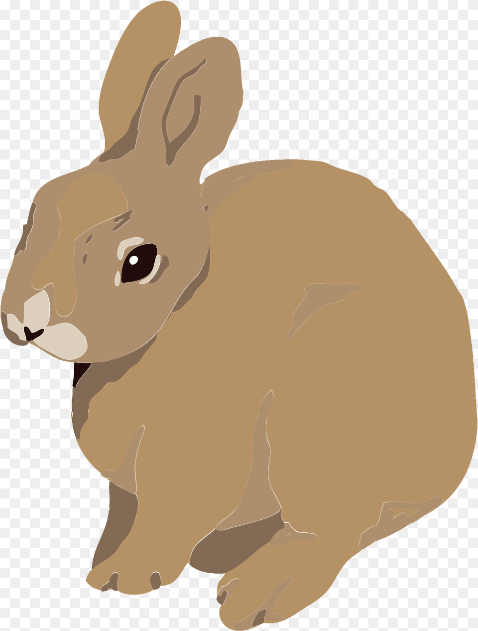 Brown Rabbit Clipart, Animal, Mammal, Baby, Person Free Png Download