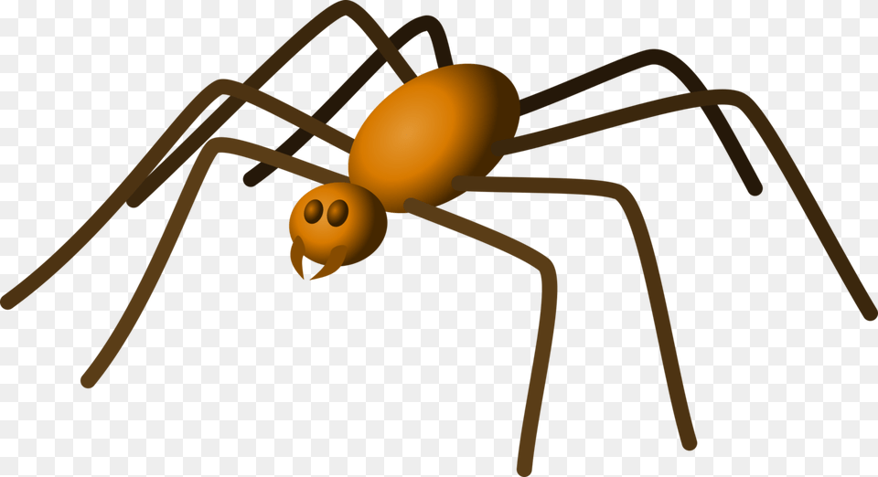 Brown Recluse Spider Eight Legs House Spider Spider Web, Animal, Invertebrate Png Image