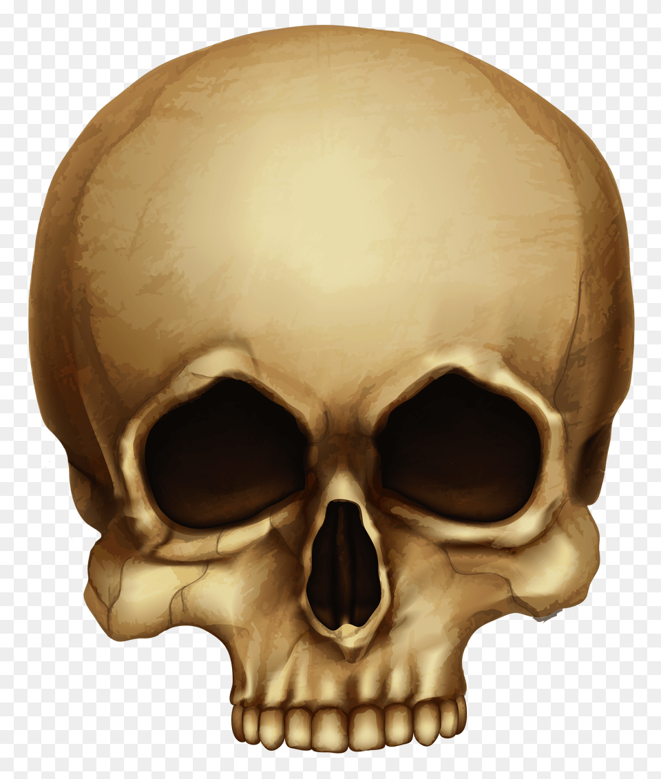 Brown Skull Small, Clothing, Hardhat, Head, Helmet Free Transparent Png