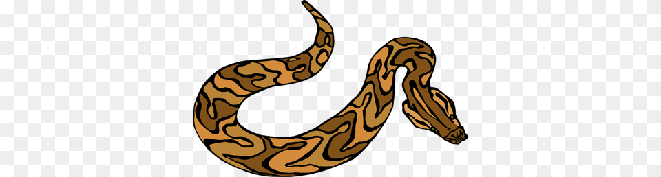 Brown Snake Clipart, Animal, Reptile, Rock Python Png Image