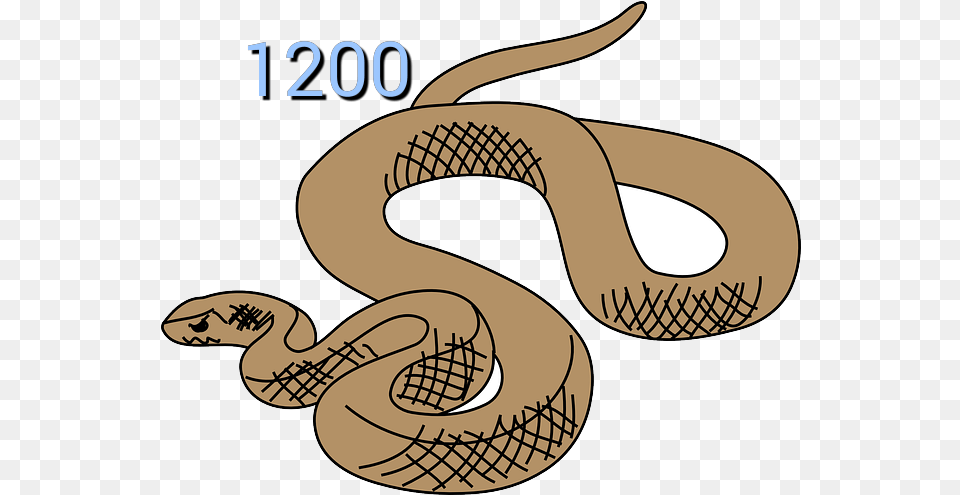 Brown Snake Clipart Information Report Animal Template Year 3, Reptile Free Png Download