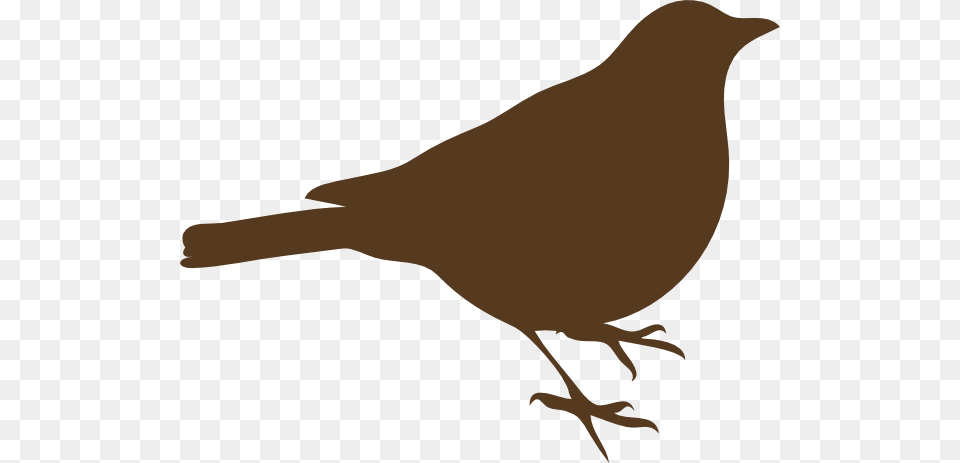 Brown Song Bird Clip Art, Animal, Blackbird, Silhouette, Fish Png Image