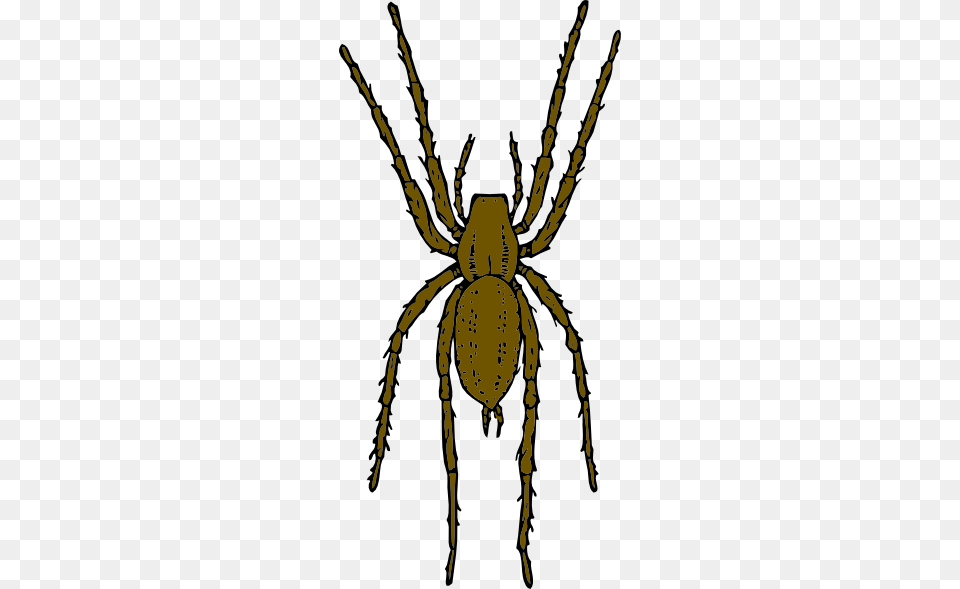 Brown Spider Clip Art, Animal, Invertebrate, Garden Spider, Insect Free Png