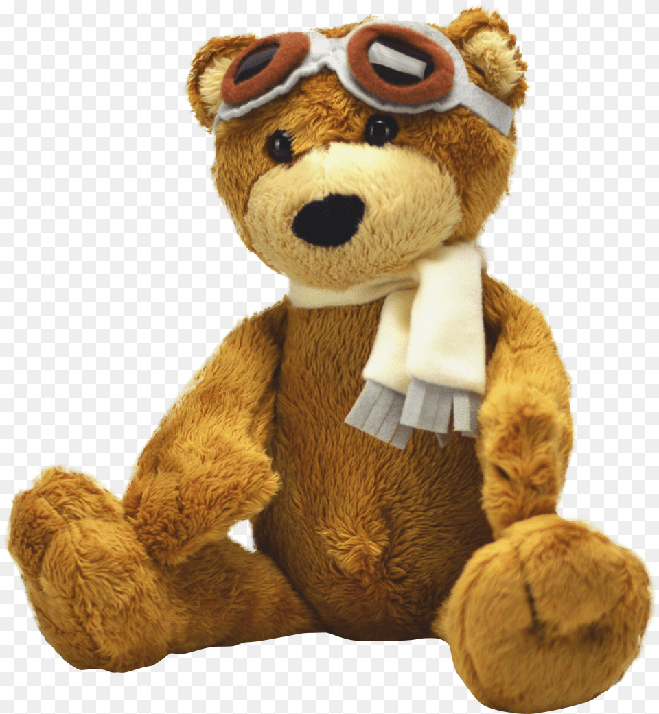 Brown Teddy Bear Aviation Head Gear February Calendar Bear 2020 Png