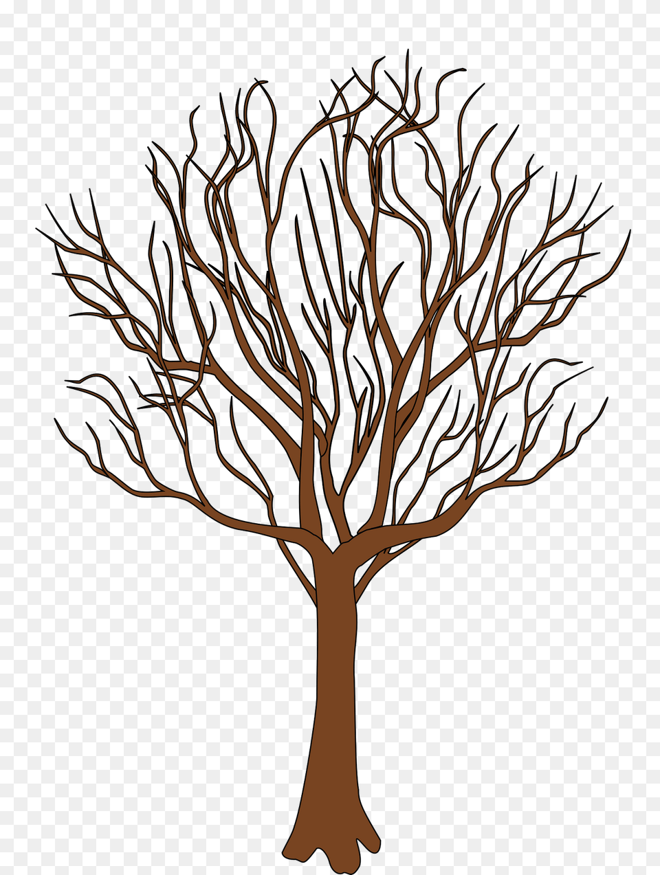 Brown Tree Bare Of Leaves Clipart, Art, Plant, Tree Trunk, Drawing Free Transparent Png