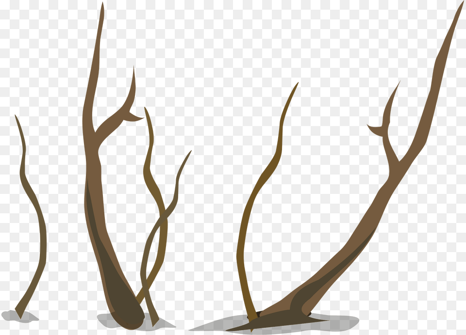 Brown Tree Branch Clipart, Grass, Plant, Vegetation, Outdoors Png