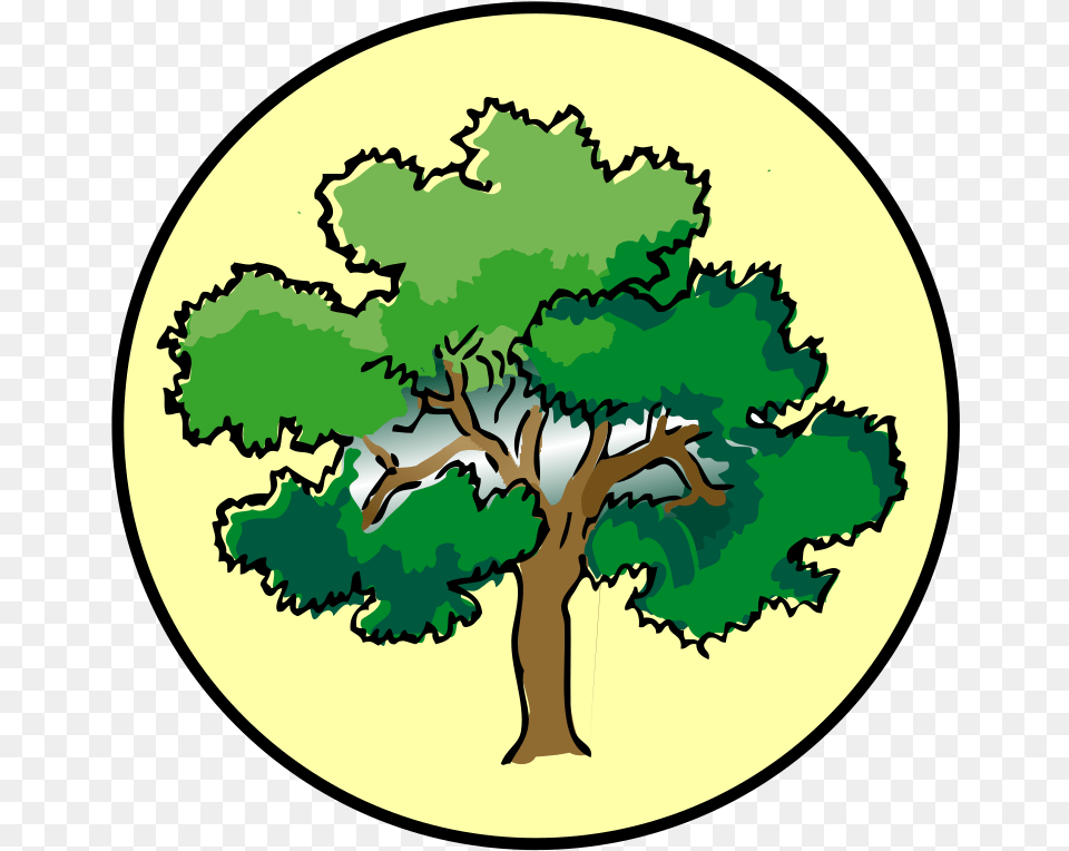 Brown Tree Branch Svg Clip Arts Clip Art Clip Art Forest School, Oak, Plant, Sycamore, Vegetation Free Png Download