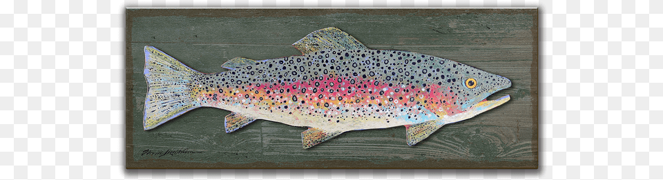 Brown Trout, Animal, Fish, Sea Life, Coho Free Transparent Png