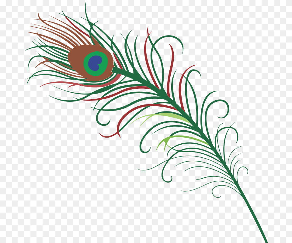 Brown Turkey Feather Clipart Clipart Royalty Free Stock Peecock Feather Hd, Art, Floral Design, Graphics, Pattern Png Image