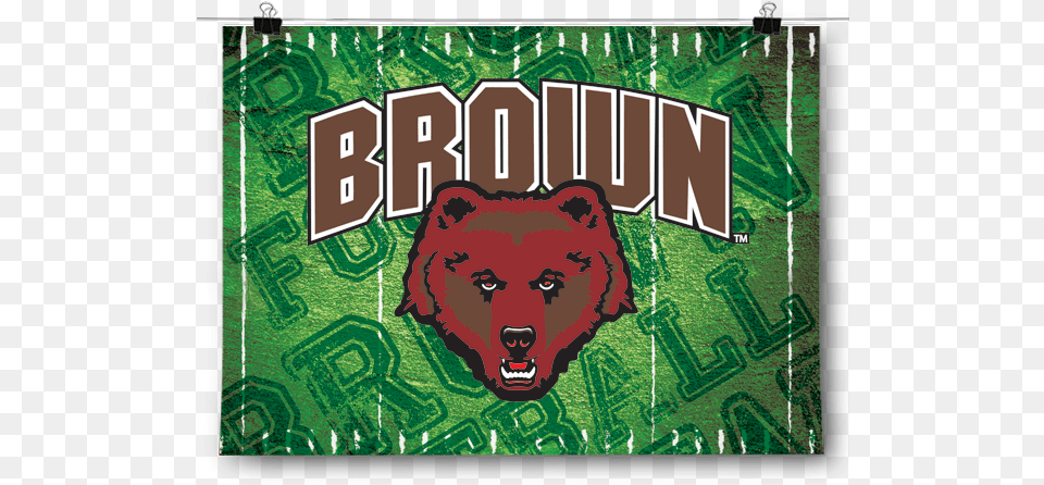 Brown University Football Grizzly Bear, Animal, Mammal, Wildlife, Book Png Image