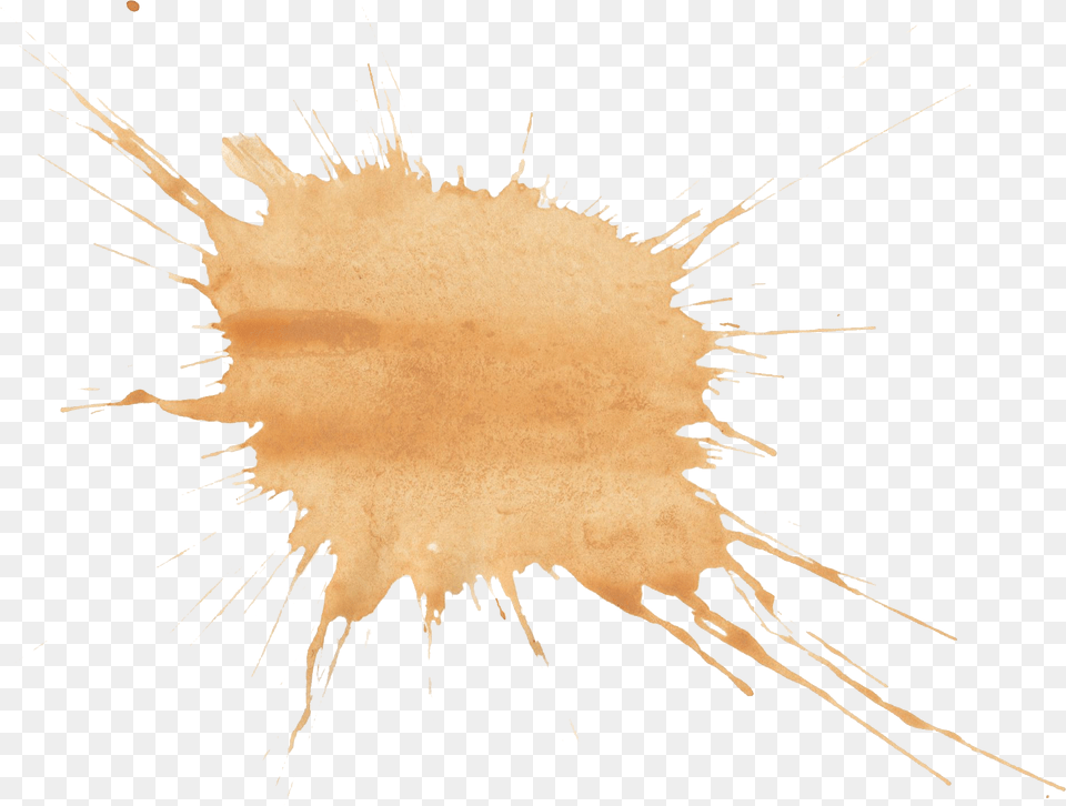 Brown Watercolor Splatter Rare Invertebrates Animals, Stain, Outdoors, Powder, Person Png