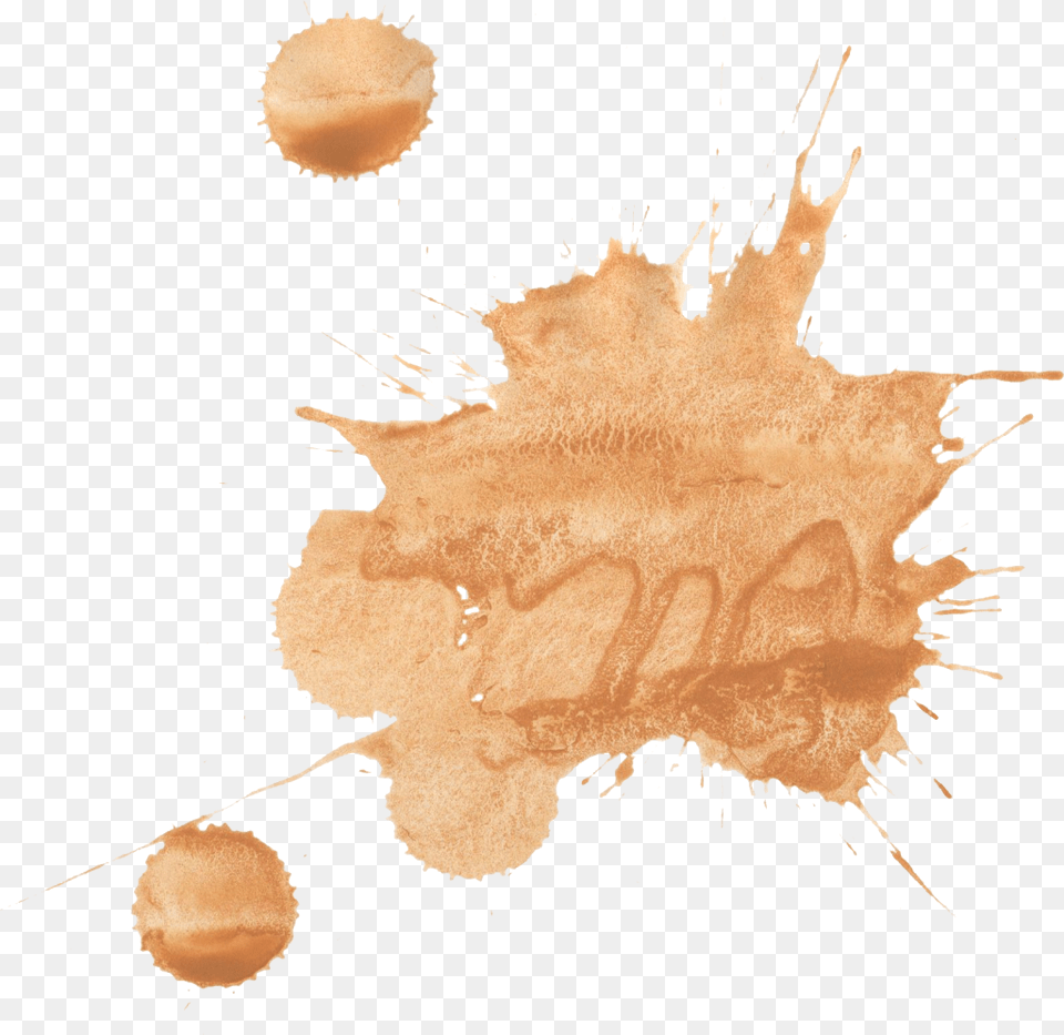 Brown Watercolour Splash, Stain, Person, Leaf, Plant Free Png Download