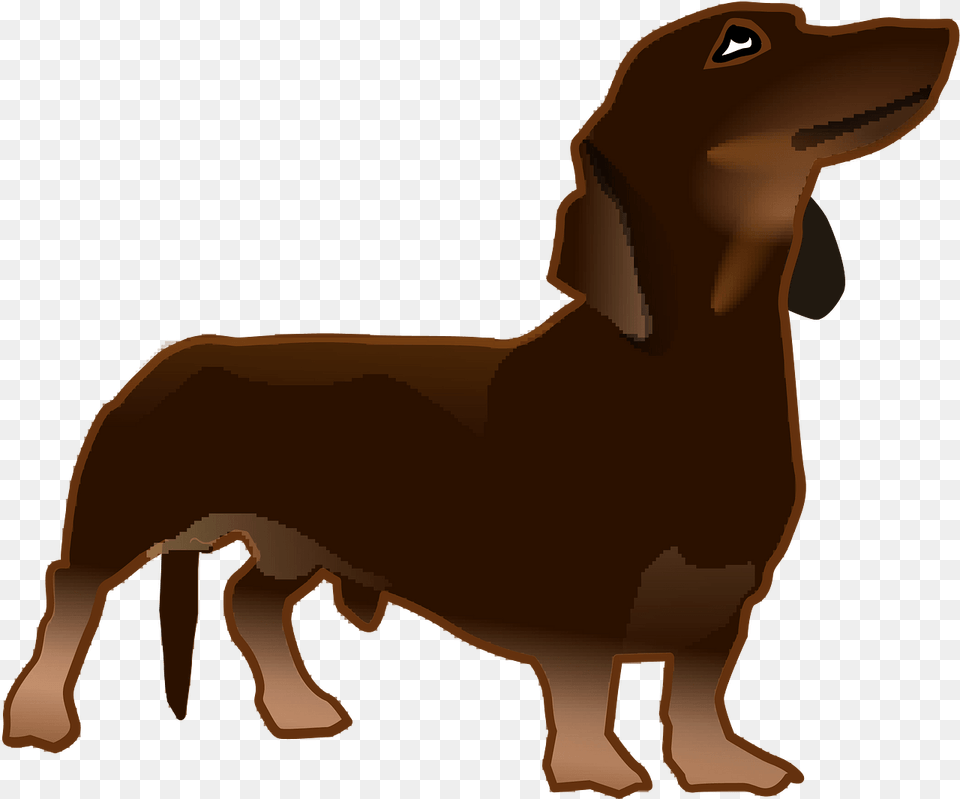 Brown Weiner Dog Clipart, Animal, Canine, Hound, Mammal Png