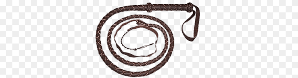 Brown Whip, Animal, Reptile, Snake Png Image