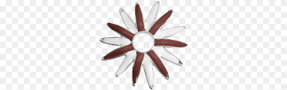 Brown White Flower Cut Flowers, Spiral, Rotor, Machine, Coil Png