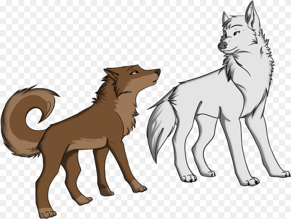 Brown Wolf With White Wolf, Animal, Coyote, Mammal, Adult Png Image