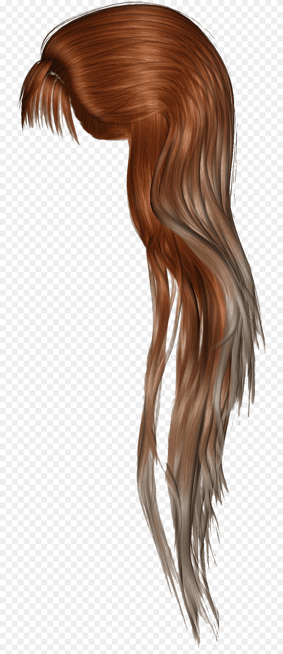 Brown Women Hair Hd Image Ponytail Hair Painting, Adult, Female, Person, Woman Free Transparent Png
