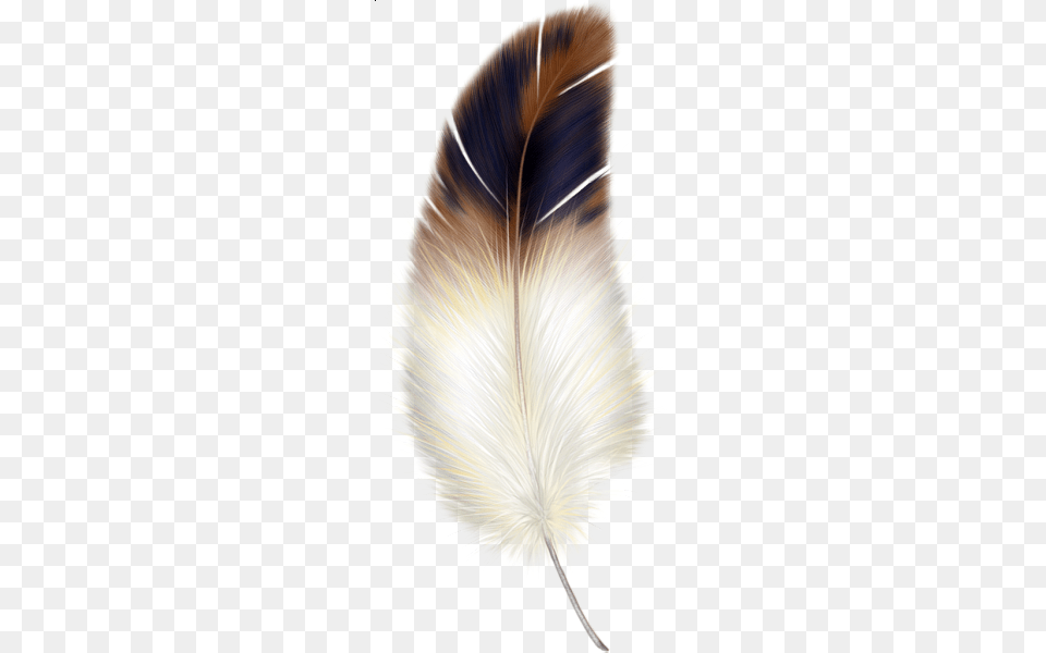 Brown Y La Pluma Blanca Clipart More Feather Brown And White Feather, Accessories, Bottle, Plant Free Png