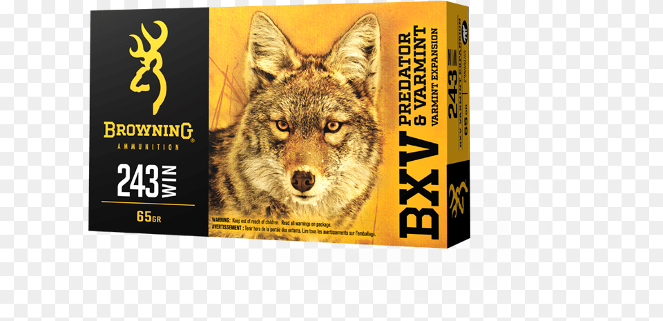 Browning 243 Bxv Ammo, Animal, Coyote, Mammal, Canine Free Transparent Png