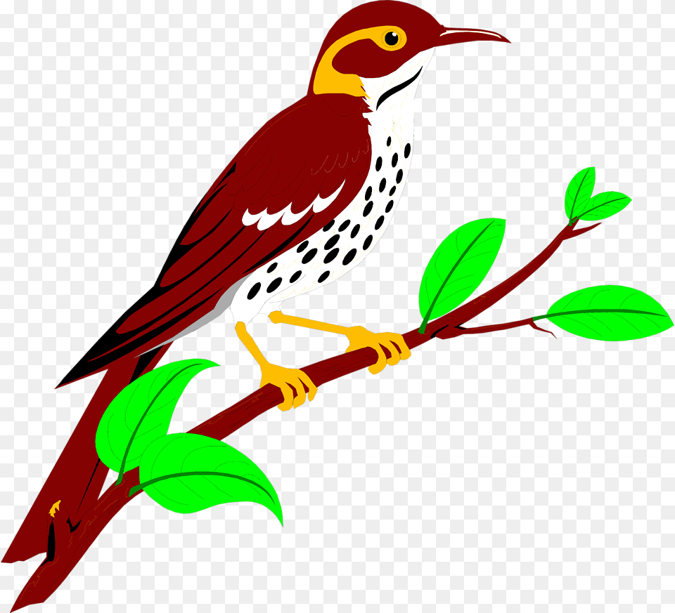 Brownish Red Thrush Stock Illustration Of Clip Art, Animal, Beak, Bird, Anthus Free Transparent Png