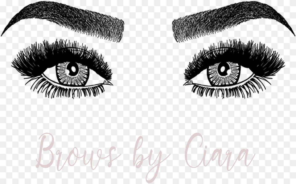 Brows And Lashes, Text, Handwriting Png Image
