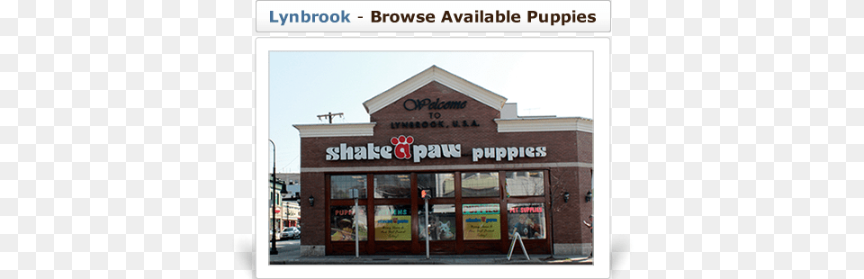 Browse Available Puppies At Our Lynbrook Store Security Awareness, Shop, Car, Transportation, Vehicle Png Image