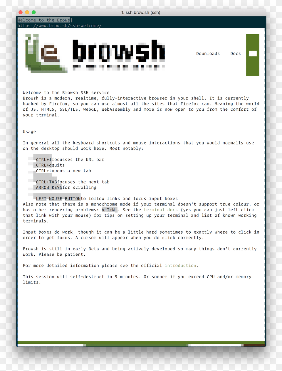 Browsh Homepage Browsh, Page, Text, File, Webpage Free Png Download