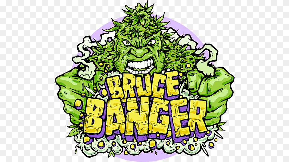 Bruce Banger Fast Feminised Seedstitle Bruce Banger, Green, Art, Doodle, Drawing Free Transparent Png
