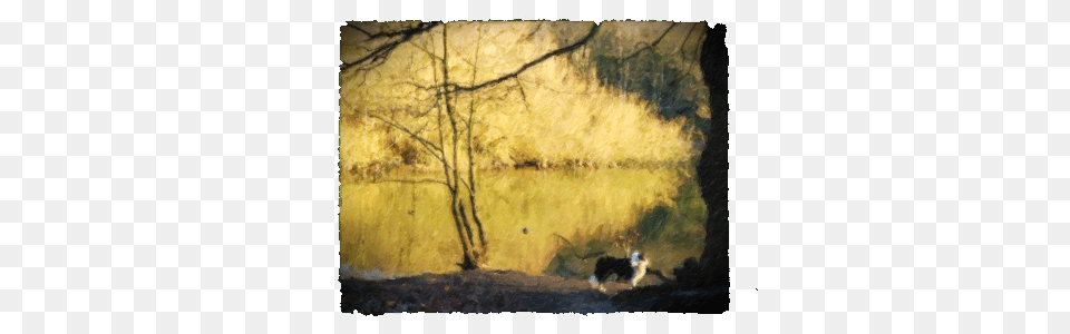 Bruce By The River Dog Walking, Art, Tree, Plant, Painting Free Transparent Png