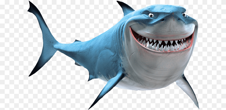 Bruce Great White Shark Marlin, Animal, Sea Life, Fish Png
