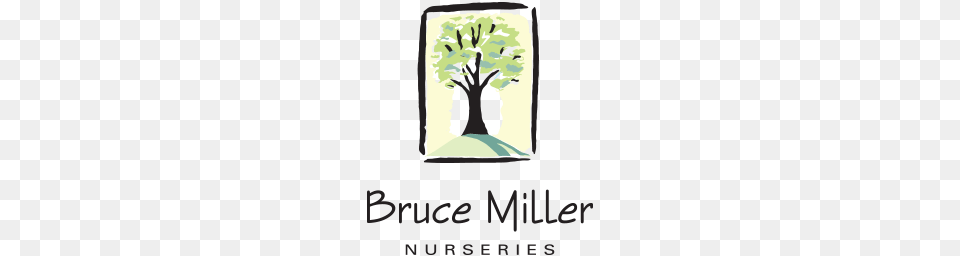 Bruce Miller Nursery, Herbal, Art, Plant, Graphics Free Png