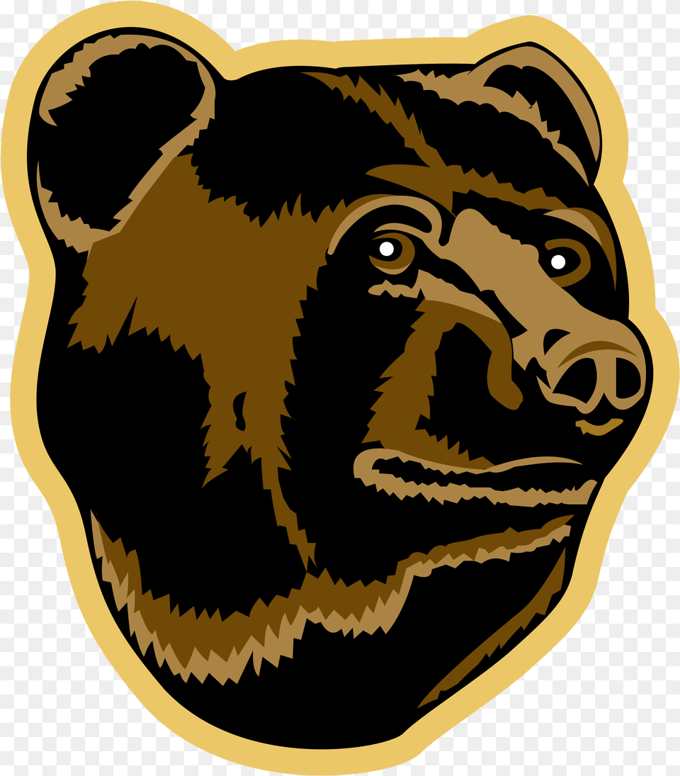 Bruins Bear Head Logo, Baby, Person, Face, Animal Free Png Download