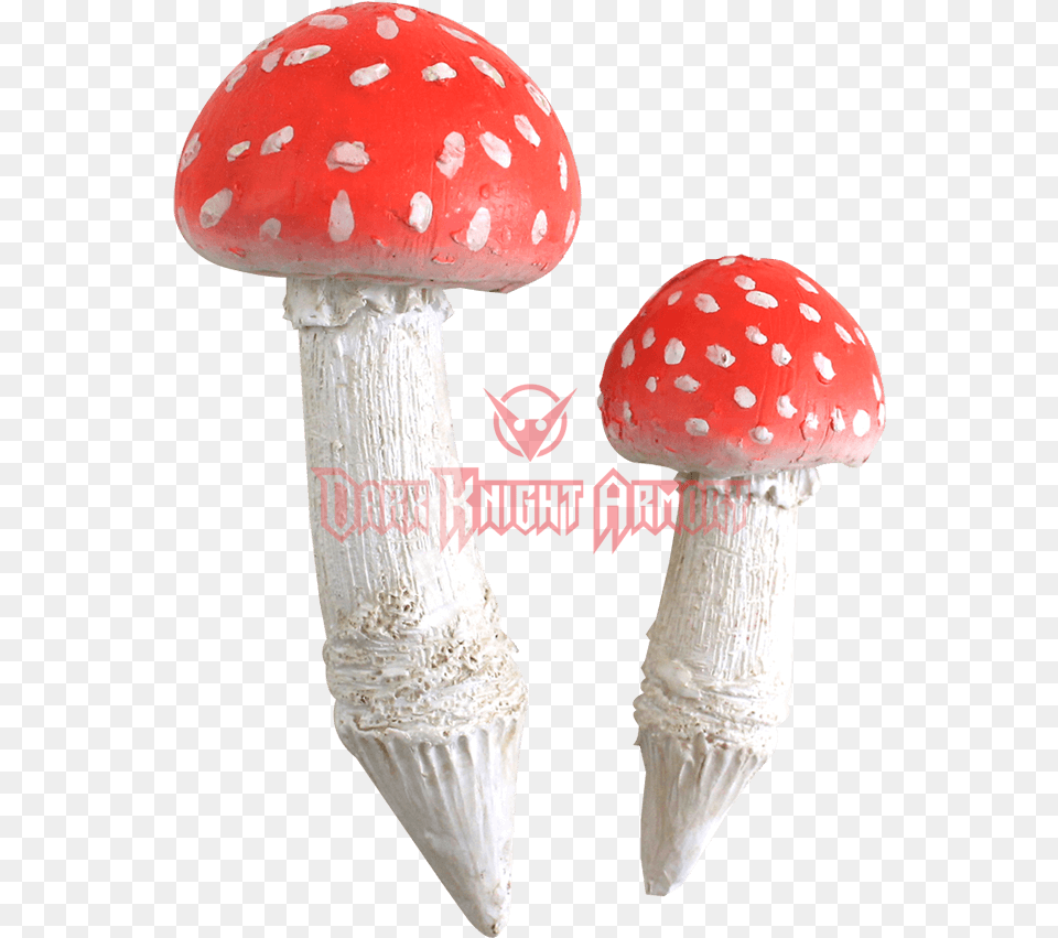 Brule La Gomme Pas Ton Ame, Fungus, Plant, Agaric, Mushroom Free Transparent Png