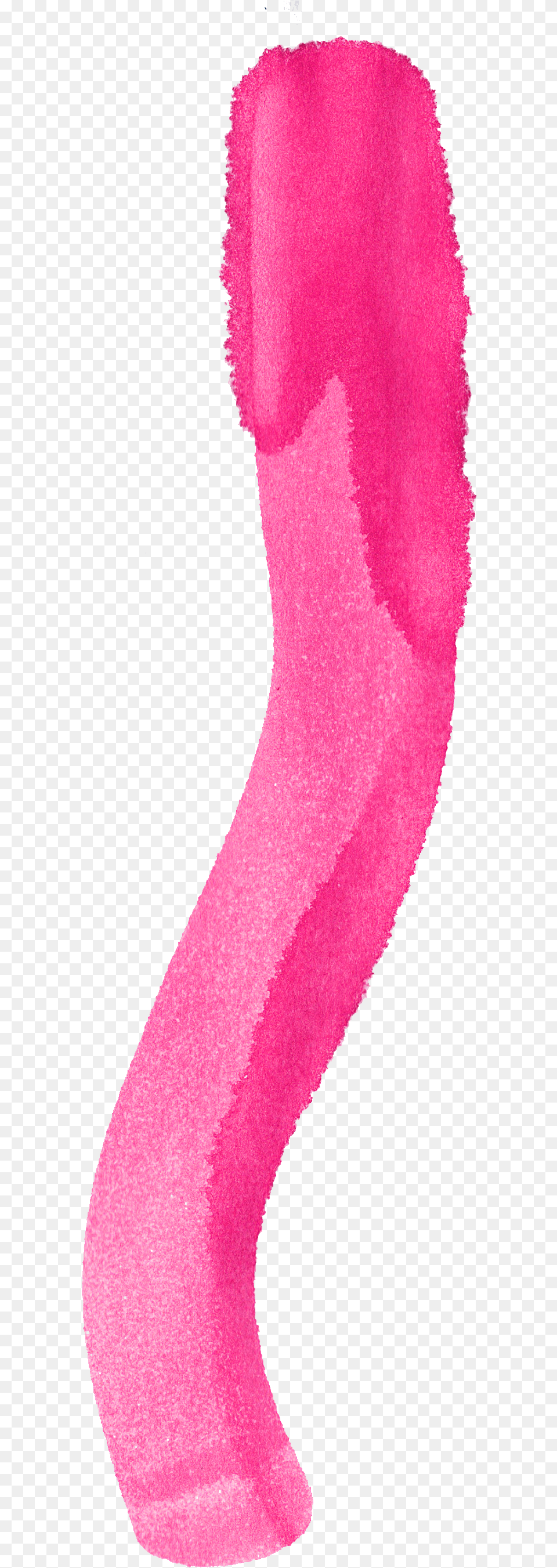 Brush, Clothing, Hosiery, Sock Png