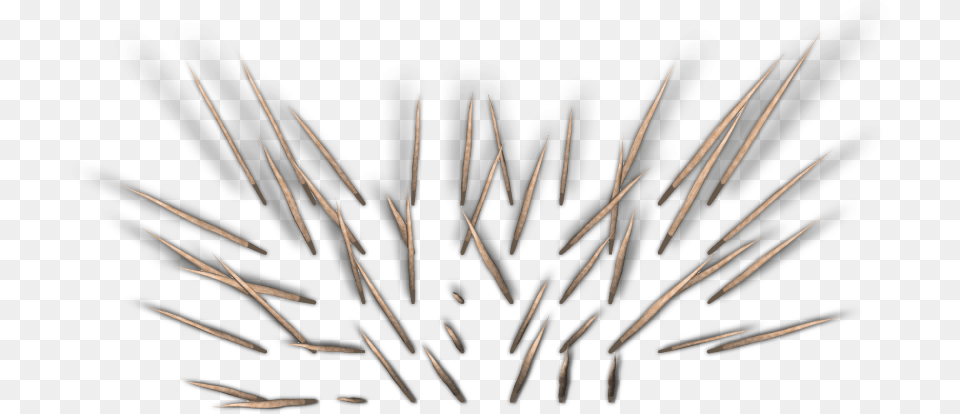 Brush, Cutlery, Wood, Home Decor, Bow Free Png Download