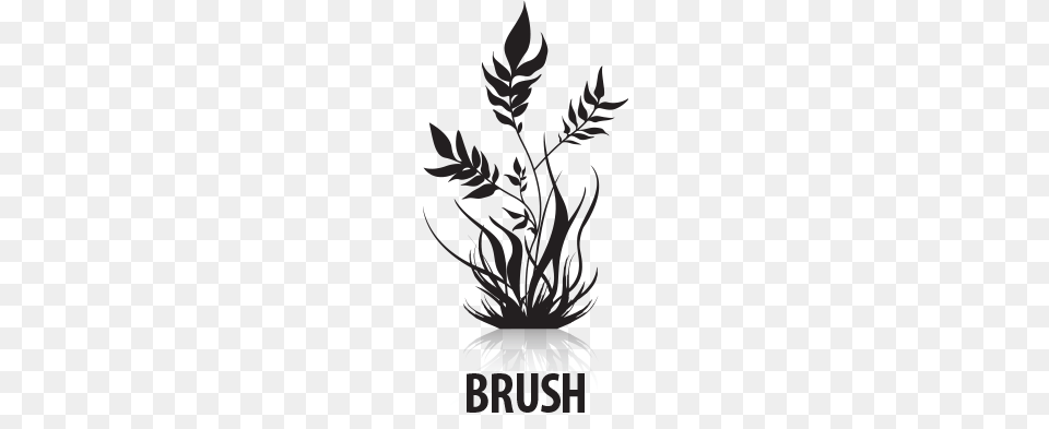 Brush Anti Hair Loss Shampoo, Art, Graphics, Floral Design, Pattern Png