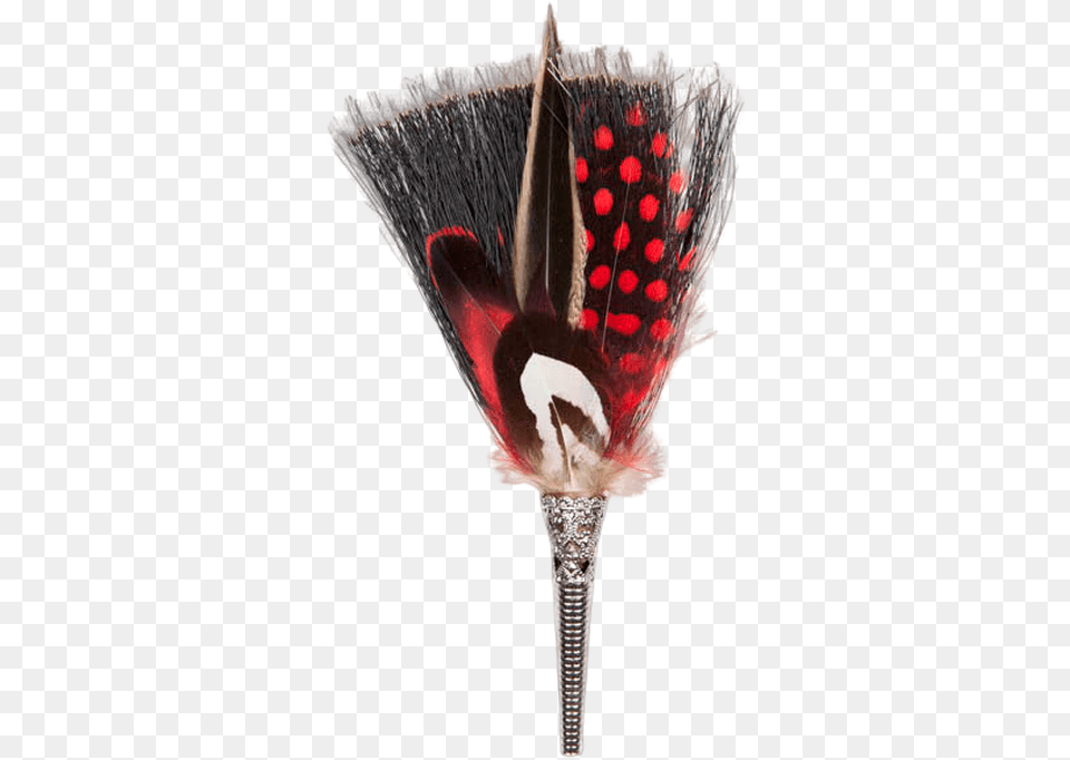 Brush Brooch Feathers Reds Flightless Bird, Device, Tool, Animal, Fish Png Image