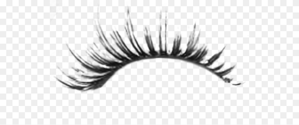 Brush Drawing Gimp Eyelasjes, Gray Png Image