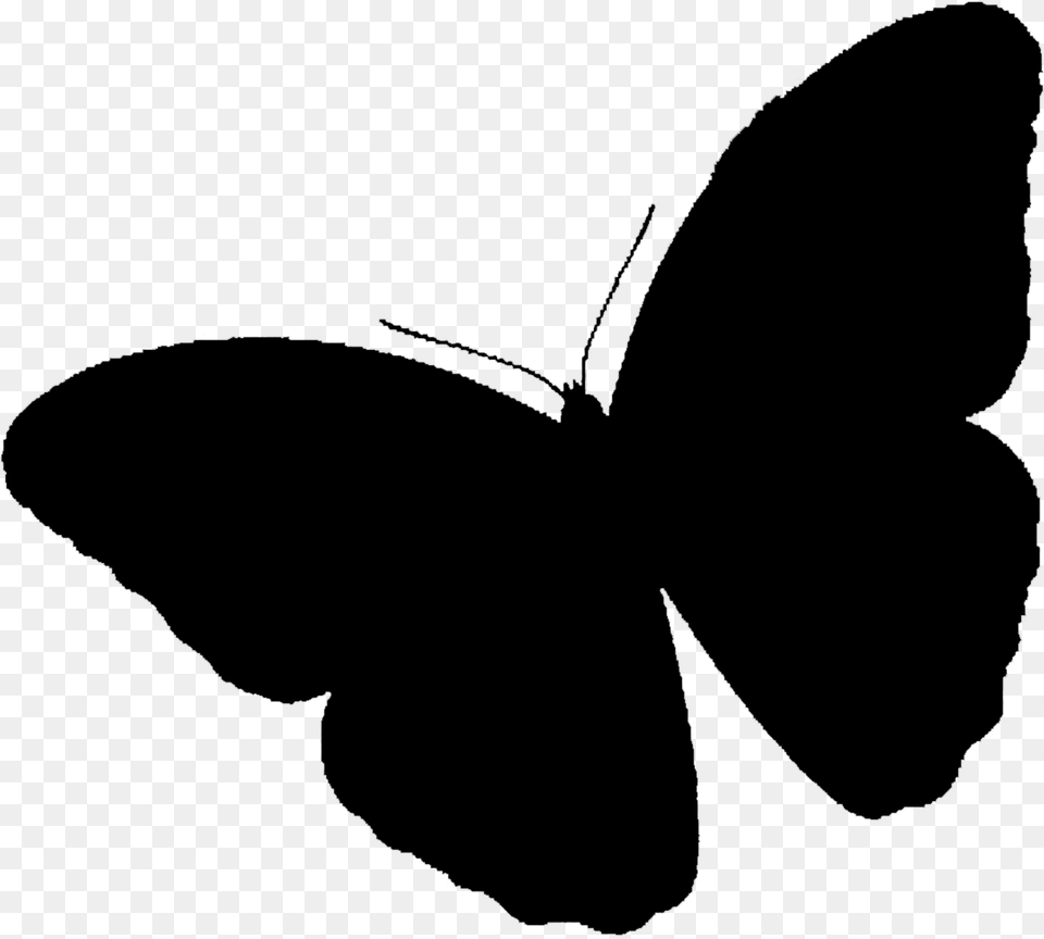 Brush Footed Butterflies Clip Art Silhouette Black, Gray Png