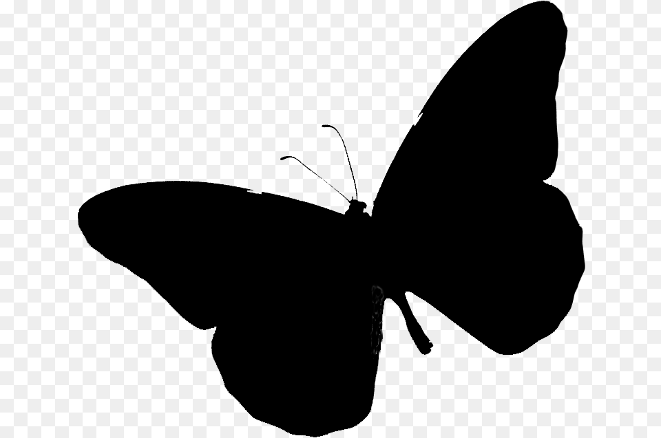 Brush Footed Butterflies Clip Art Silhouette Black Brush Footed Butterfly, Gray Free Png Download