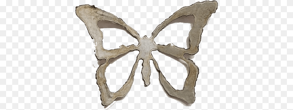 Brush Footed Butterfly, Accessories, Jewelry, Weapon, Gemstone Png