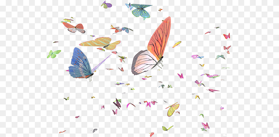 Brush Footed Butterfly, Paper, Art, Flower, Petal Png Image
