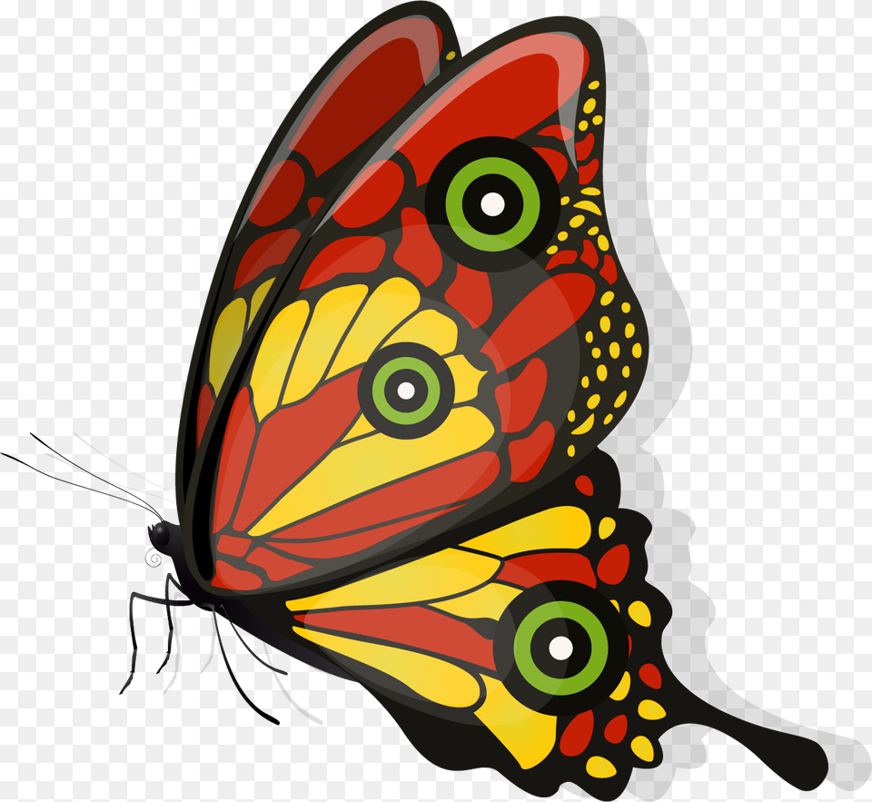 Brush Footed Butterfly, Animal, Invertebrate, Insect, Device Png