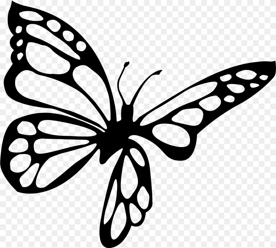 Brush Footed Butterfly, Gray Free Transparent Png