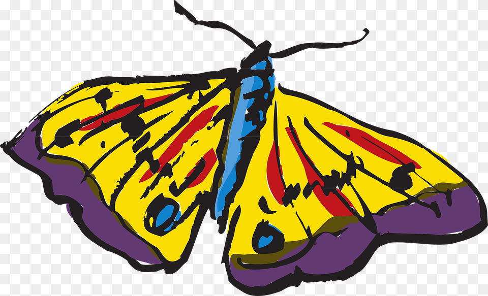 Brush Footed Butterfly, Animal, Insect, Invertebrate, Moth Free Png Download